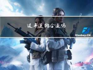 过年送狗合适吗