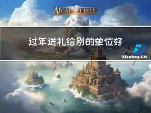 过年送礼给别的单位好吗