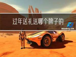 过年送礼送哪个牌子的