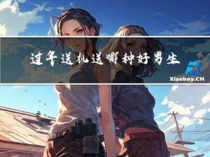 过年送礼送哪种好男生