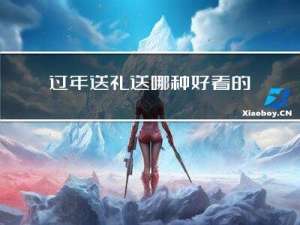 过年送礼送哪种好看的