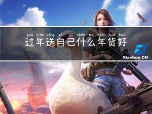 过年送自己什么年货好看