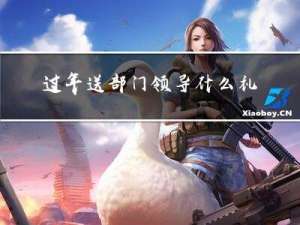 过年送部门领导什么礼物好