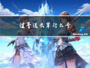 过年送长辈什么号