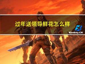 过年送领导鲜花怎么样