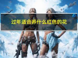 过年适合养什么红色的花