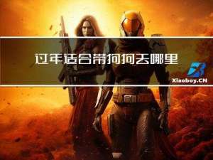 过年适合带狗狗去哪里吃饭