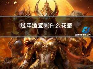 过年适宜买什么花草