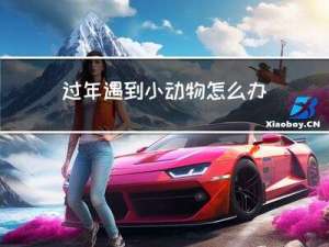 过年遇到小动物怎么办