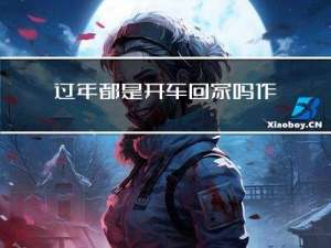 过年都是开车回家吗作文