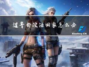 过年都没法回家怎么办呢