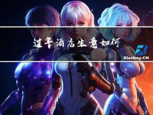 过年酒店生意如何