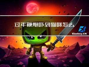 过年鞭炮吓到猫咪怎么办