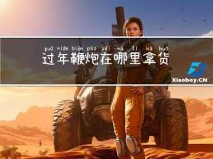 过年鞭炮在哪里拿货