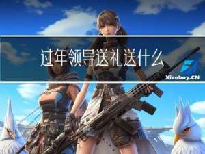 过年领导送礼送什么