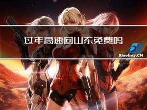 过年高速回山东免费吗