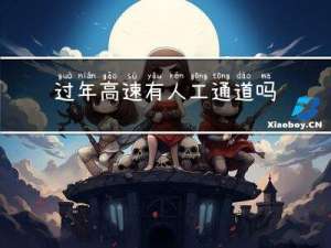 过年高速有人工通道吗