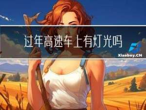 过年高速车上有灯光吗