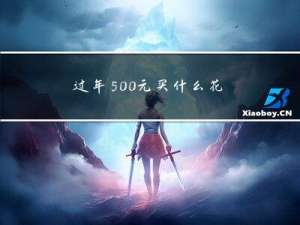 过年500元买什么花