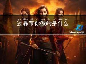 过春节你做的是什么