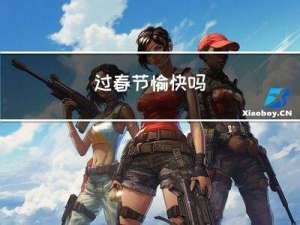 过春节愉快吗