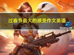 过春节最大的感受作文英语