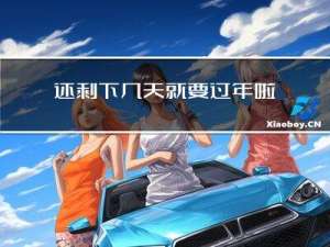 还剩下几天就要过年啦