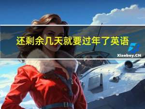 还剩余几天就要过年了英语
