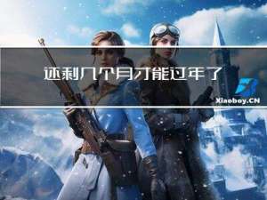 还剩几个月才能过年了