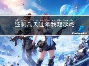 还剩几天过年我想放炮