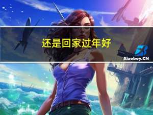 还是回家过年好