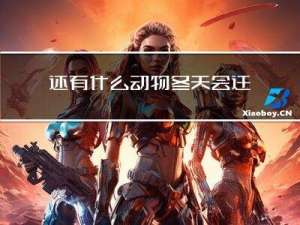 还有什么动物冬天会迁徙