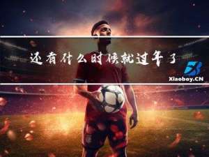 还有什么时候就过年了