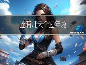 还有几天个过年啦
