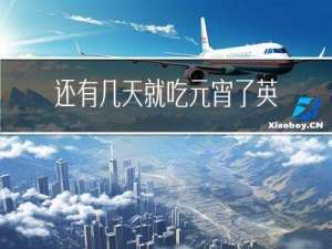 还有几天就吃元宵了英文