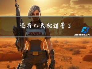 还有几天就过年了