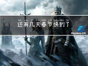 还有几天春节快到了