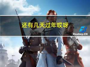 还有几天过年哎呀
