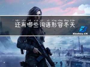 还有哪些词语形容冬天