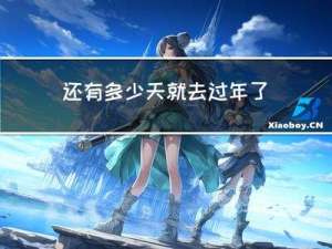 还有多少天就去过年了作文