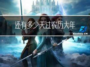 还有多少天过农历大年