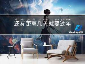 还有距离几天就要过年了