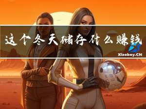这个冬天储存什么赚钱最快