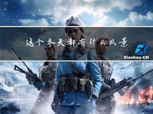 这个冬天都有什么风景