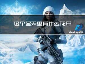 这个冬天里有什么花开