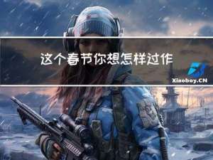 这个春节你想怎样过作文