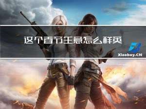 这个春节生意怎么样英文