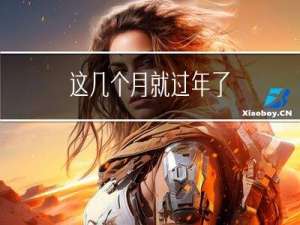 这几个月就过年了