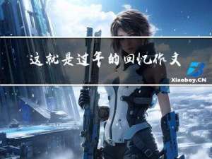 这就是过年的回忆作文