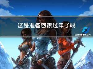 这是准备回家过年了吗英文